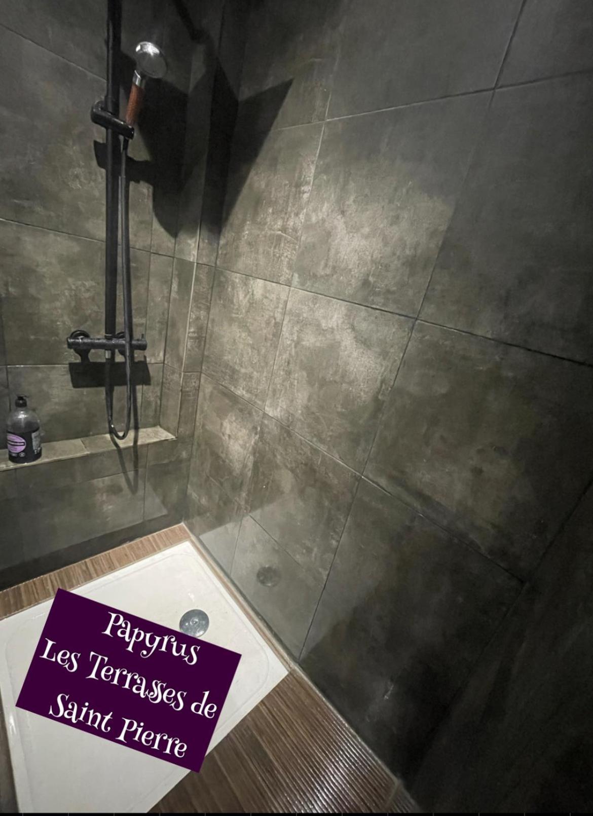 Apartament Terrasses De Saint Pierre - Papyrus Zewnętrze zdjęcie
